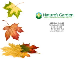 42109 State Route 18
Wellington, OH 44090
1-866-647-2368
1-440-647-0220 (fax)
www.candlepro.com
 