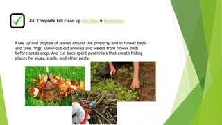 #4: Complete fall clean up (October & November) 
Rake up and dispose of leaves around the property and in flower beds 
and tree rings. Clean out old annuals and weeds from flower beds 
before seeds drop. And cut back spent perennials that create hiding 
places for slugs, snails, and other pests. 
 
