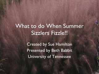 What to do When Summer Sizzlers Fizzle!! Created by Sue Hamilton Presented by Beth Babbit University of Tennessee 