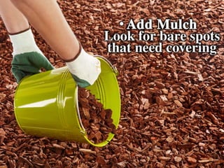 • Add Mulch – Look for bare spots that need
covering.