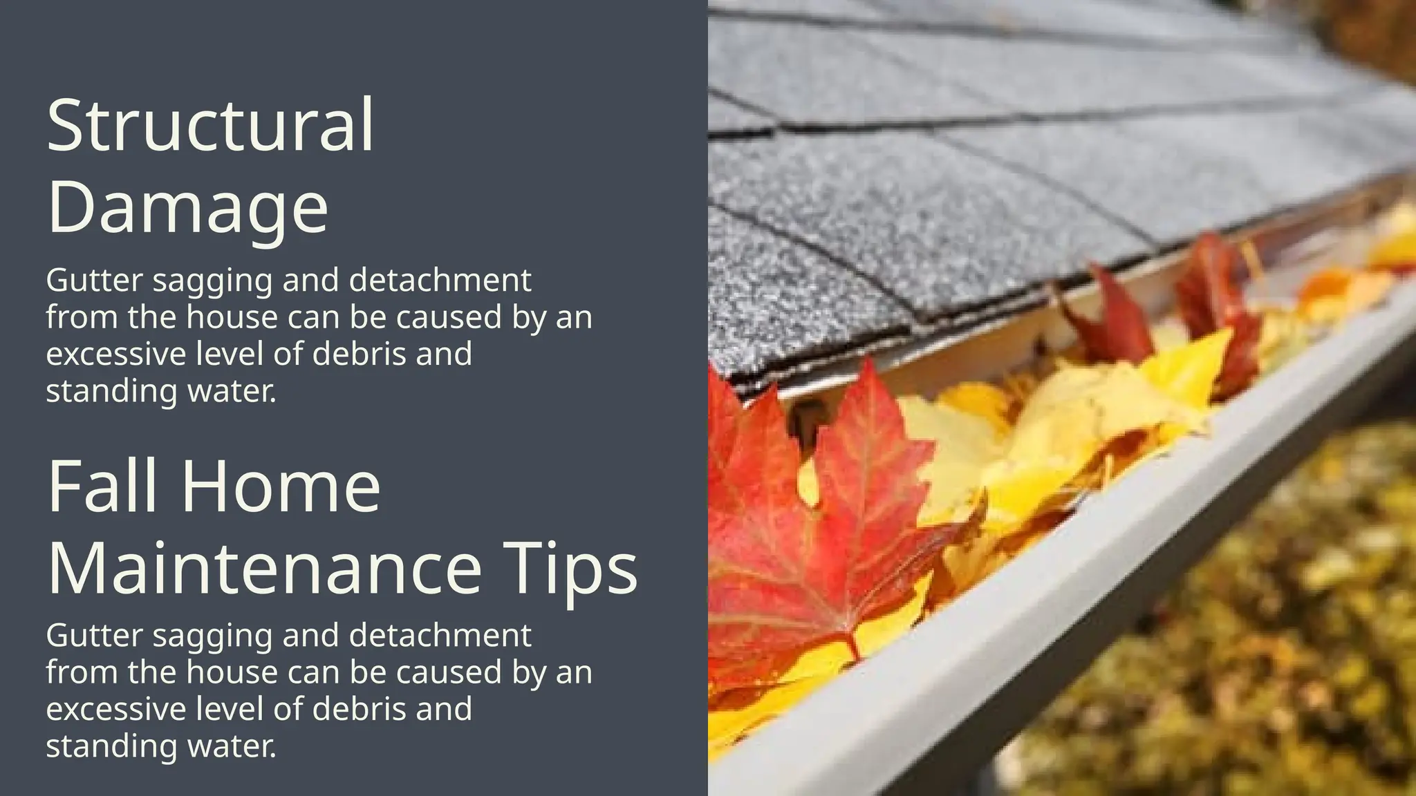 Gutter sagging and detachment
from the house can be caused by an
excessive level of debris and
standing water.
Structural
Damage
Fall Home
Maintenance Tips
Gutter sagging and detachment
from the house can be caused by an
excessive level of debris and
standing water.
 
