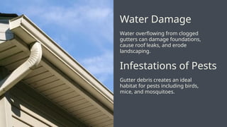 Water overflowing from clogged
gutters can damage foundations,
cause roof leaks, and erode
landscaping.
Water Damage
Gutter debris creates an ideal
habitat for pests including birds,
mice, and mosquitoes.
Infestations of Pests
 