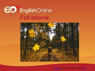 Fall Idioms
Image from Max Pixel shared under CC0
 