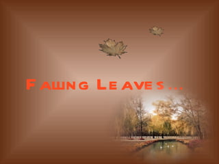 Falling Leaves ... 