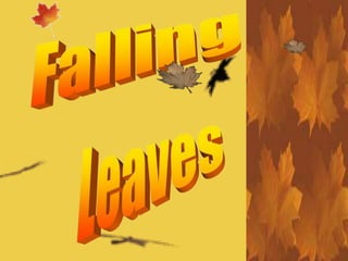 Falling Leaves,  part 2