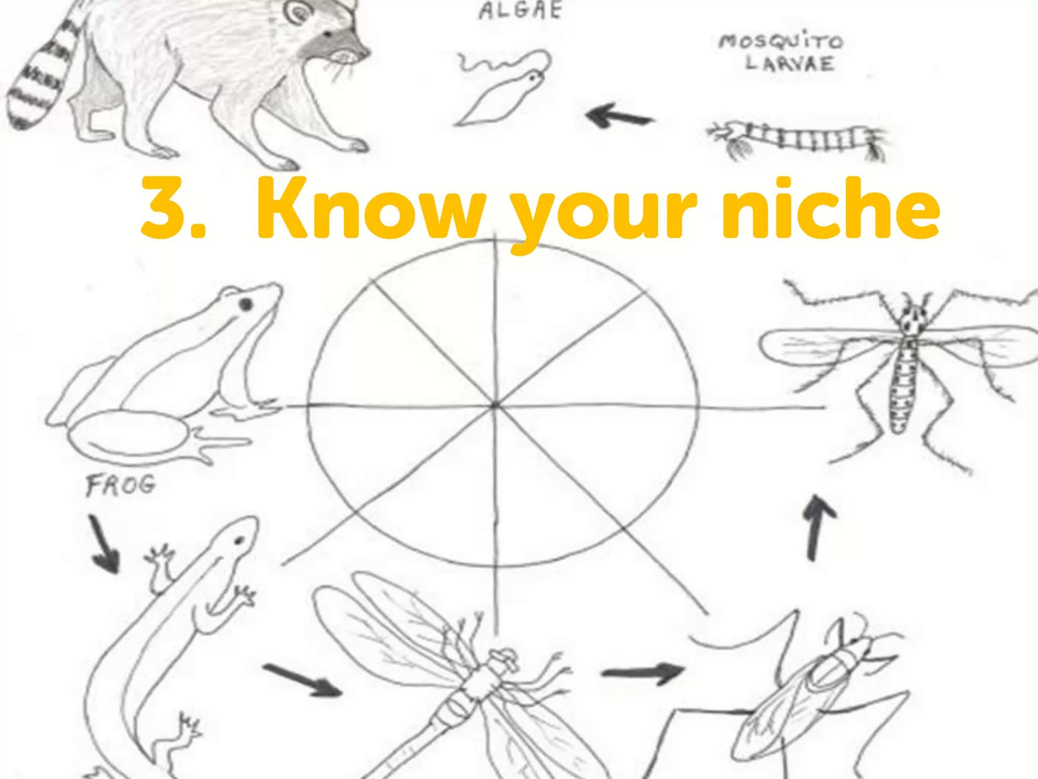 3. Know your niche
 