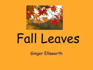 Fall Leaves Ginger Ellsworth 