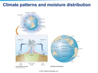 © 2011 Pearson Education, Inc.
Climate patterns and moisture distribution
 