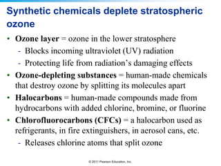 © 2011 Pearson Education, Inc.
Synthetic chemicals deplete stratospheric
ozone
• Ozone layer = ozone in the lower stratosphere
- Blocks incoming ultraviolet (UV) radiation
- Protecting life from radiation’s damaging effects
• Ozone-depleting substances = human-made chemicals
that destroy ozone by splitting its molecules apart
• Halocarbons = human-made compounds made from
hydrocarbons with added chlorine, bromine, or fluorine
• Chlorofluorocarbons (CFCs) = a halocarbon used as
refrigerants, in fire extinguishers, in aerosol cans, etc.
- Releases chlorine atoms that split ozone
 