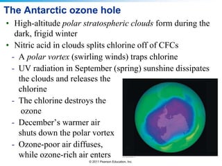 © 2011 Pearson Education, Inc.
The Antarctic ozone hole
• High-altitude polar stratospheric clouds form during the
dark, frigid winter
• Nitric acid in clouds splits chlorine off of CFCs
- A polar vortex (swirling winds) traps chlorine
- UV radiation in September (spring) sunshine dissipates
the clouds and releases the
chlorine
- The chlorine destroys the
ozone
- December’s warmer air
shuts down the polar vortex
- Ozone-poor air diffuses,
while ozone-rich air enters
 
