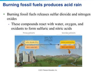 © 2011 Pearson Education, Inc.
Burning fossil fuels produces acid rain
• Burning fossil fuels releases sulfur dioxide and nitrogen
oxides
- These compounds react with water, oxygen, and
oxidants to form sulfuric and nitric acids
 