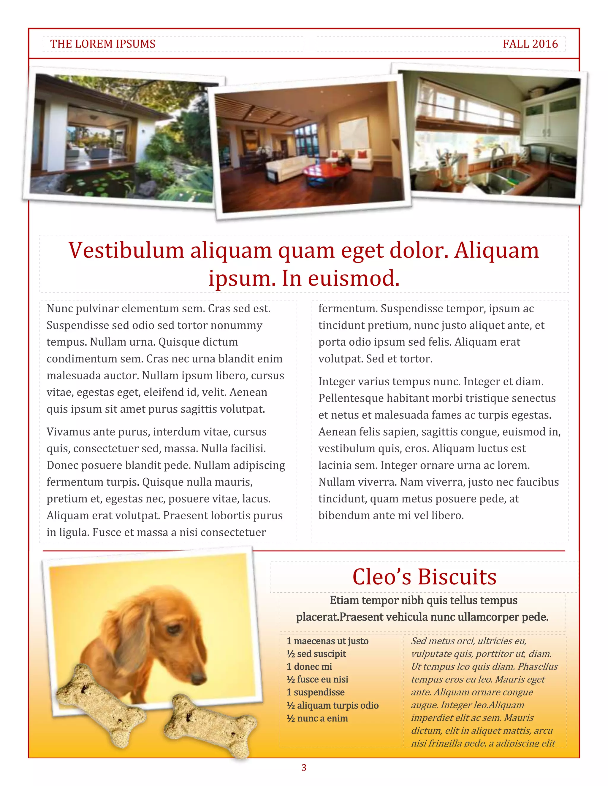 THE LOREM IPSUMS                                                                                  FALL 2016




    Vestibulum aliquam quam eget dolor. Aliquam
                 ipsum. In euismod.
Nunc pulvinar elementum sem. Cras sed est.               fermentum. Suspendisse tempor, ipsum ac
Suspendisse sed odio sed tortor nonummy                  tincidunt pretium, nunc justo aliquet ante, et
tempus. Nullam urna. Quisque dictum                      porta odio ipsum sed felis. Aliquam erat
condimentum sem. Cras nec urna blandit enim              volutpat. Sed et tortor.
malesuada auctor. Nullam ipsum libero, cursus            Integer varius tempus nunc. Integer et diam.
vitae, egestas eget, eleifend id, velit. Aenean          Pellentesque habitant morbi tristique senectus
quis ipsum sit amet purus sagittis volutpat.
                                                         et netus et malesuada fames ac turpis egestas.
Vivamus ante purus, interdum vitae, cursus               Aenean felis sapien, sagittis congue, euismod in,
quis, consectetuer sed, massa. Nulla facilisi.           vestibulum quis, eros. Aliquam luctus est
Donec posuere blandit pede. Nullam adipiscing            lacinia sem. Integer ornare urna ac lorem.
fermentum turpis. Quisque nulla mauris,                  Nullam viverra. Nam viverra, justo nec faucibus
pretium et, egestas nec, posuere vitae, lacus.           tincidunt, quam metus posuere pede, at
Aliquam erat volutpat. Praesent lobortis purus           bibendum ante mi vel libero.
in ligula. Fusce et massa a nisi consectetuer



                                                                Cleo’s Biscuits
                                                          Etiam tempor nibh quis tellus tempus
                                                    placerat.Praesent vehicula nunc ullamcorper pede.
                                                  1 maecenas ut justo      Sed metus orci, ultricies eu,
                                                  ½ sed suscipit           vulputate quis, porttitor ut, diam.
                                                  1 donec mi               Ut tempus leo quis diam. Phasellus
                                                  ½ fusce eu nisi          tempus eros eu leo. Mauris eget
                                                  1 suspendisse            ante. Aliquam ornare congue
                                                  ½ aliquam turpis odio    augue. Integer leo.Aliquam
                                                  ½ nunc a enim            imperdiet elit ac sem. Mauris
                                                                           dictum, elit in aliquet mattis, arcu
                                                                           nisi fringilla pede, a adipiscing elit
                                                                           sem in enim.
                                                     3
 