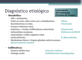 • Metabólico
▫ Alfa-1-antitripsina.
▫ Cobre en suero, cobre orina 24 h, ceruloplasmina. Wilson
▫ Succinilacetona en orina. Tirosinemia
▫ Cuerpos reductores orina.
▫ Galactosa -1- fosfato uridiltrasferasa eritrocitaria Galactosemia
▫ Acilcarnitinas en plasma Deficiencia de MCAD
▫ Aminoácidos y ácidos orgánicos orina.
▫ Láctico/Pirúvico E. Mitocondriales.
▫ Metabolismo Hierro y biopsia glándula salival neonatos.
Hemocromatosis neonatal
• Infiltrativas
▫ Examen médula ósea. Leucemia. Linfoma.
▫ Citología ascitis Linfohistiocitosis hemofagocítica
Diagnóstico etiológico Laboratorio
Microbiología
Pruebas de imagen
 