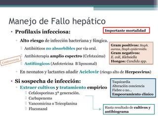 • Profilaxis infecciosa:
▫ Alto riesgo de infección bacteriana y fúngica.
 Antibióticos no absorbibles por vía oral.
 Antibioterapia amplio espectro (Cefotaxima)
 Antifúngicos (Anfotericina B liposomal)
▫ En neonatos y lactantes añadir Aciclovir (riesgo alto de Herpesvirus)
• Si sospecha de infección:
▫ Extraer cultivos y tratamiento empírico
 Cefalosporinas 3ª generación.
 Carbapenems
 Vancomicina o Teicoplanina
 Fluconazol
Manejo de Fallo hepático
Gram positivos: Staph.
aureus, Staph epidermidis.
Gram negativos:
E. coli, Klebsiella
Hongos: Candida spp.
Importante mortalidad
Taquicardia
Alteración conciencia
Fiebre o no…
Empeoramiento clínico
Controversia
Hasta resultado de cultivos y
antibiograma
 