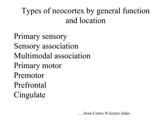 Types of neocortex by general function and location Primary sensory  Sensory association Multimodal association Primary motor Premotor Prefrontal Cingulate … ..from Cortex II lecture slides 