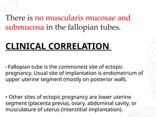 fallopian tube histo for mbbs student by jeanee | PPTX