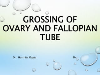 GROSSING OF
OVARY AND FALLOPIAN
TUBE
Dr. Harshita Gupta Dr.
 