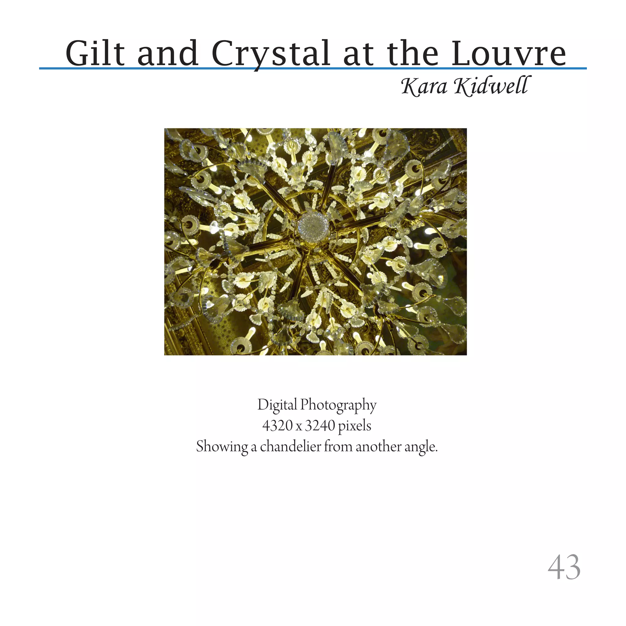 Gilt and Crystal at the Louvre
                                        Kara Kidwell




                Digital Photography
                 4320 x 3240 pixels
       Showing a chandelier from another angle.




                                                       43
 
