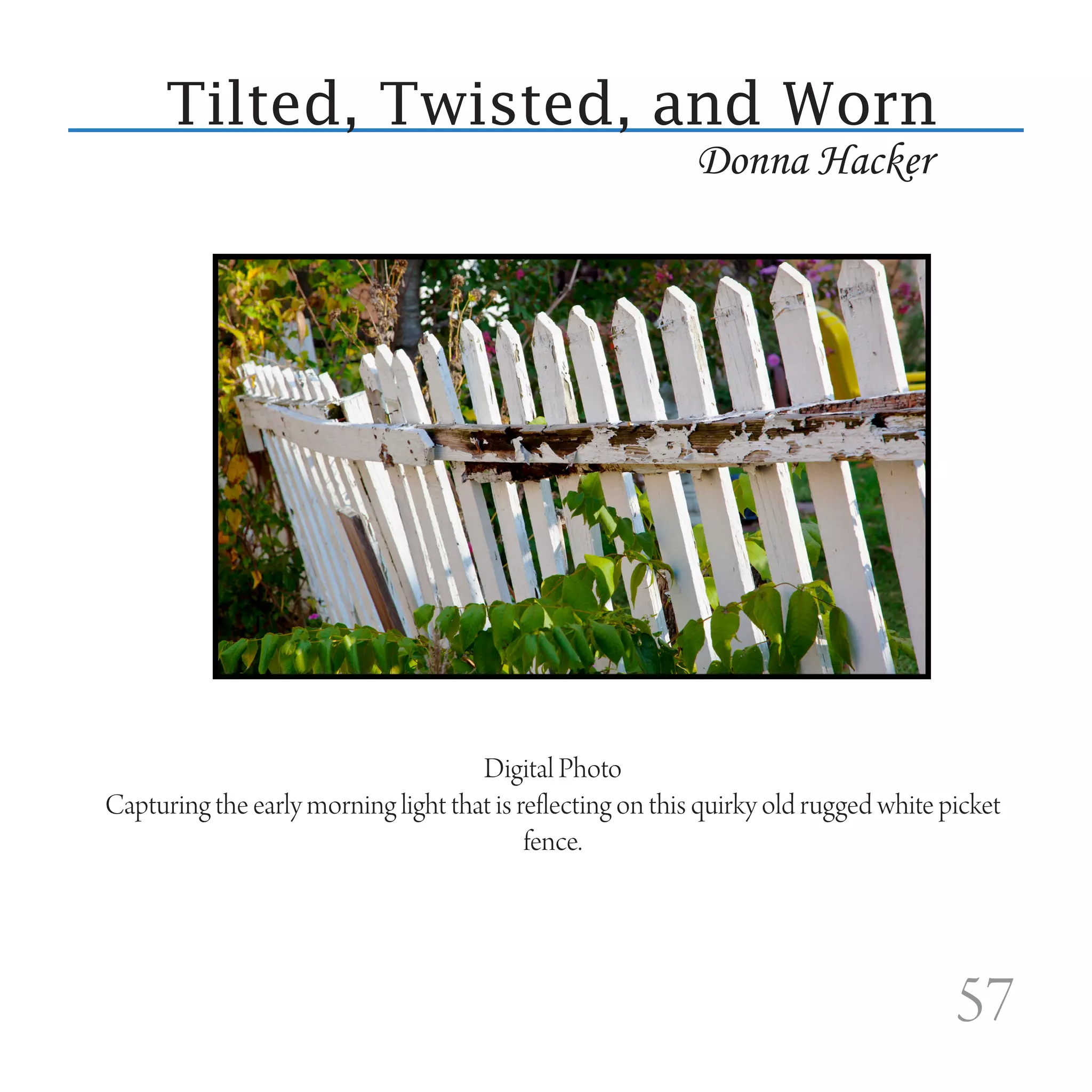 Tilted, Twisted, and Worn
                                                            Donna Hacker




                                     Digital Photo
Capturing the early morning light that is reflecting on this quirky old rugged white picket
                                           fence.




                                                                                      57
 
