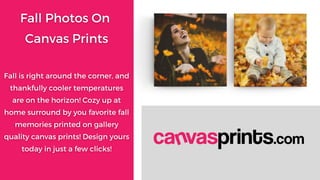 Fall Photos On Canvas Print