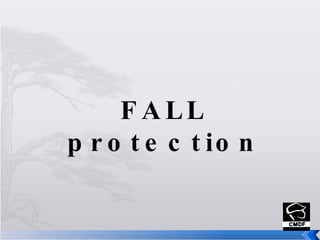 FALL protection 