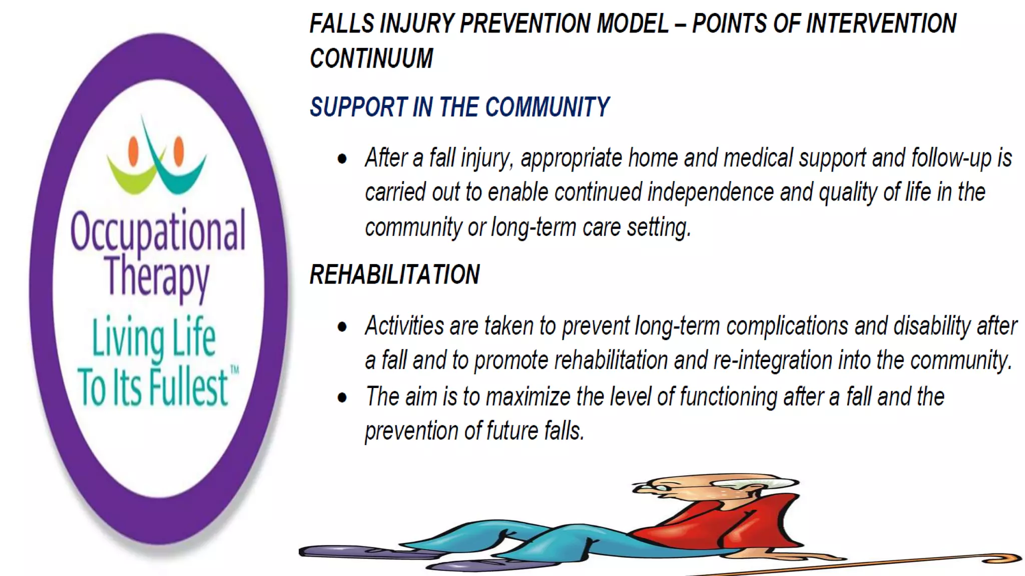 Fall Prevention Strategies Elderly Population part 1