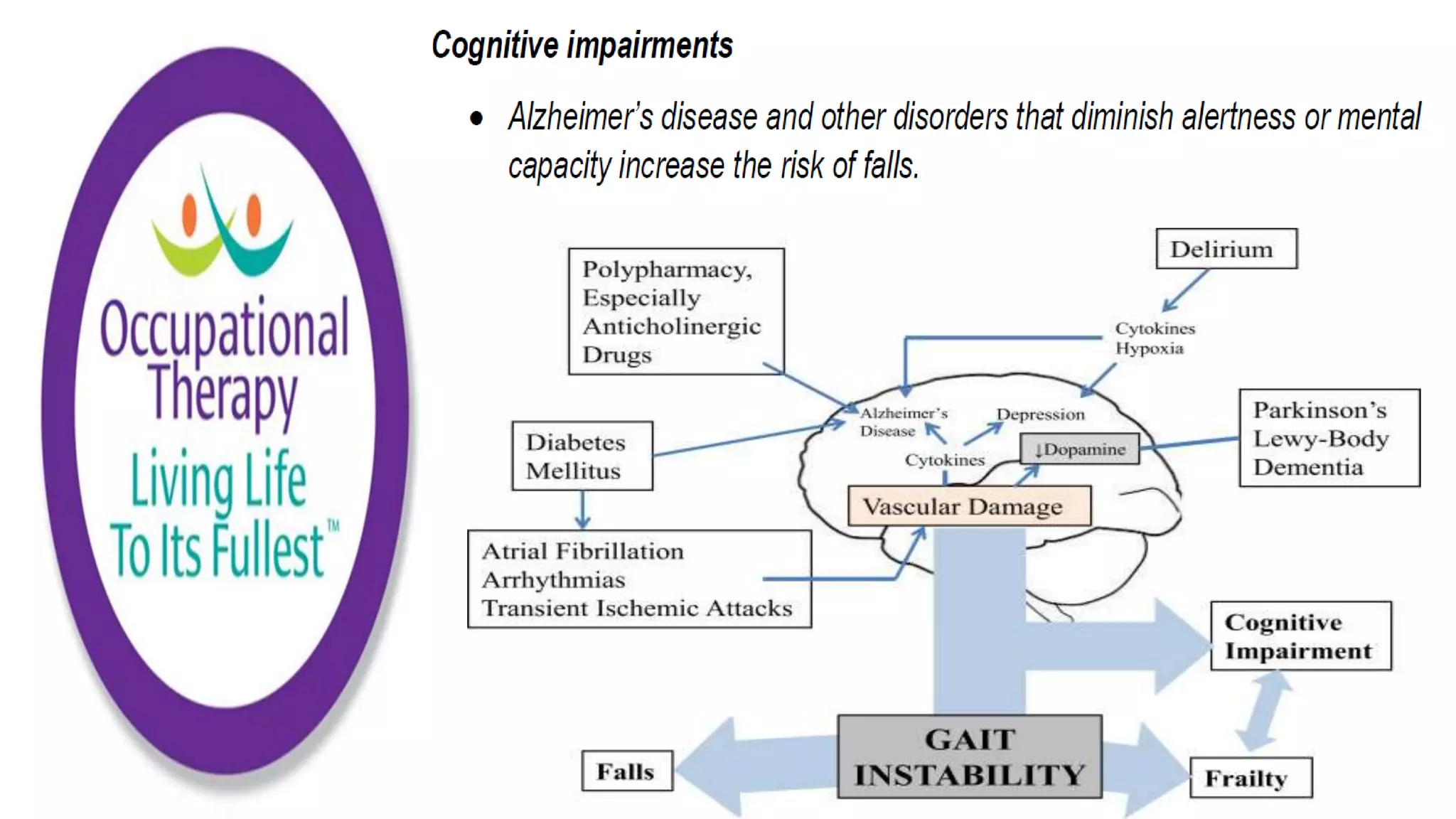 Fall Prevention Strategies Elderly Population part 1