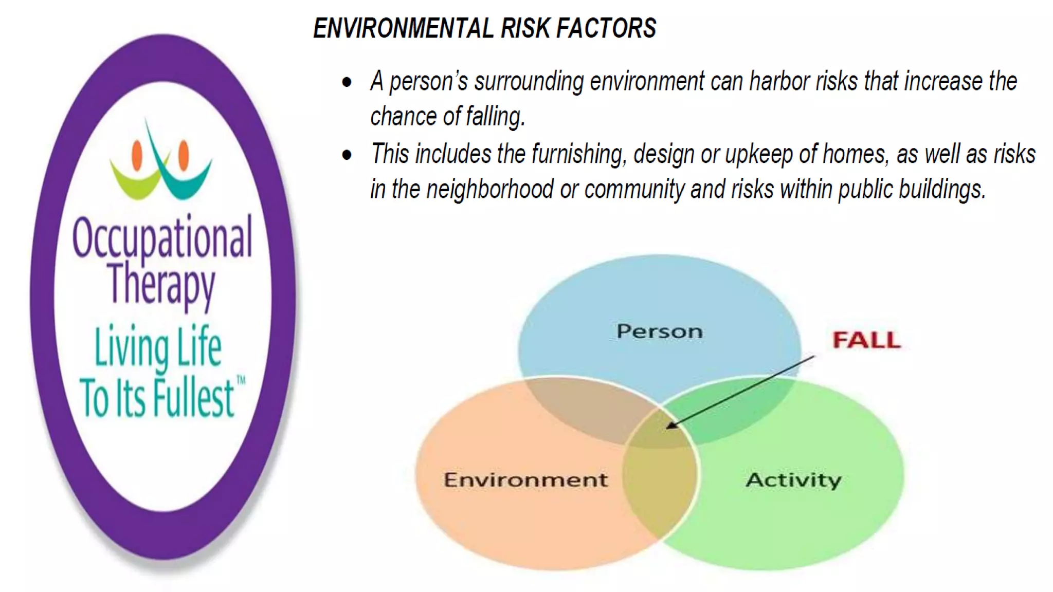 Fall Prevention Strategies Elderly Population part 1