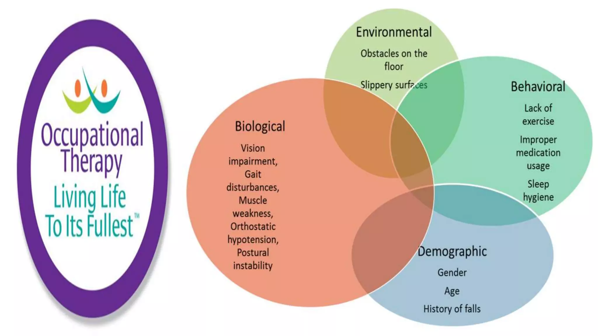 Fall Prevention Strategies Elderly Population part 1