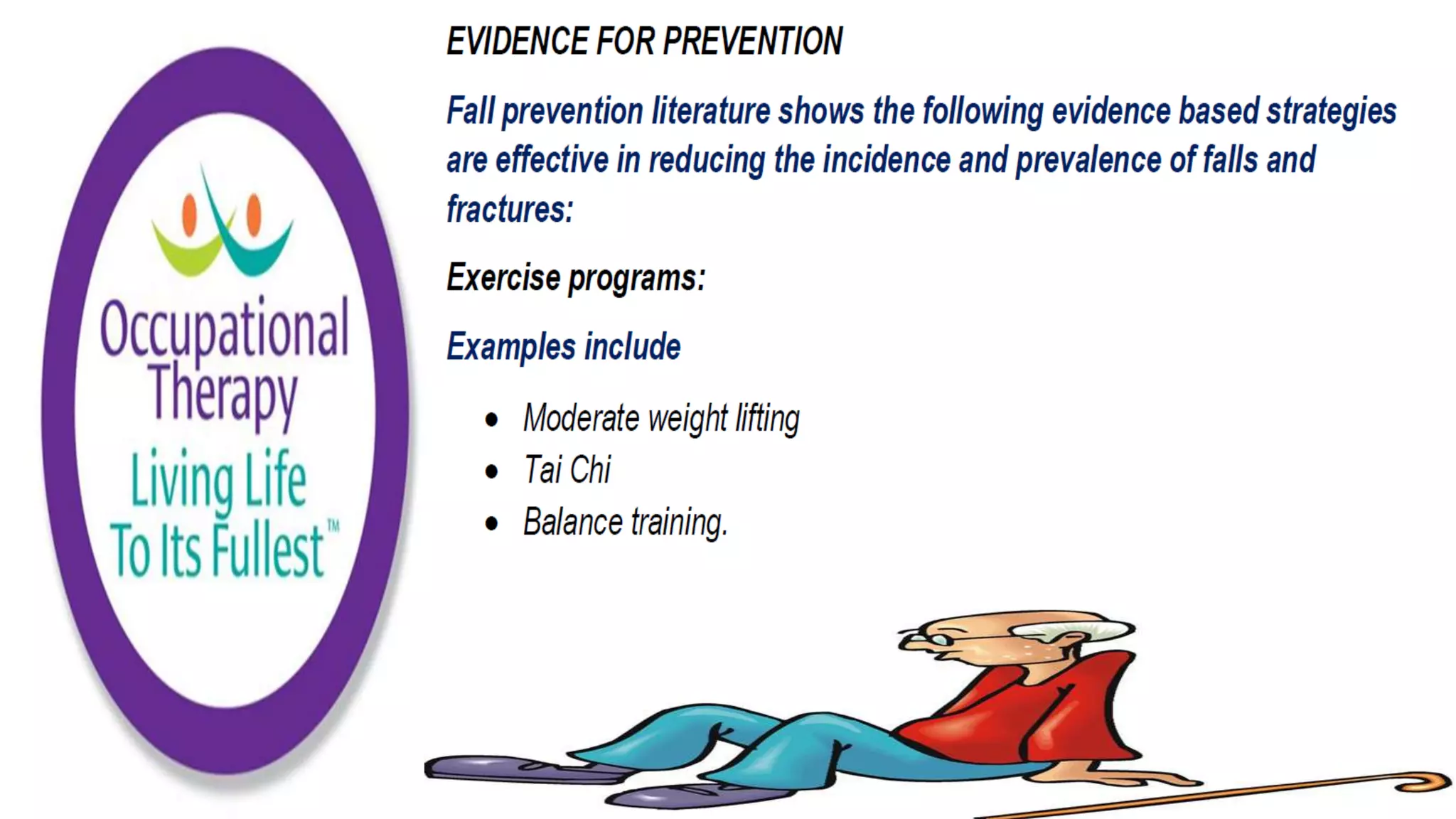 Fall Prevention Strategies Elderly Population part 1