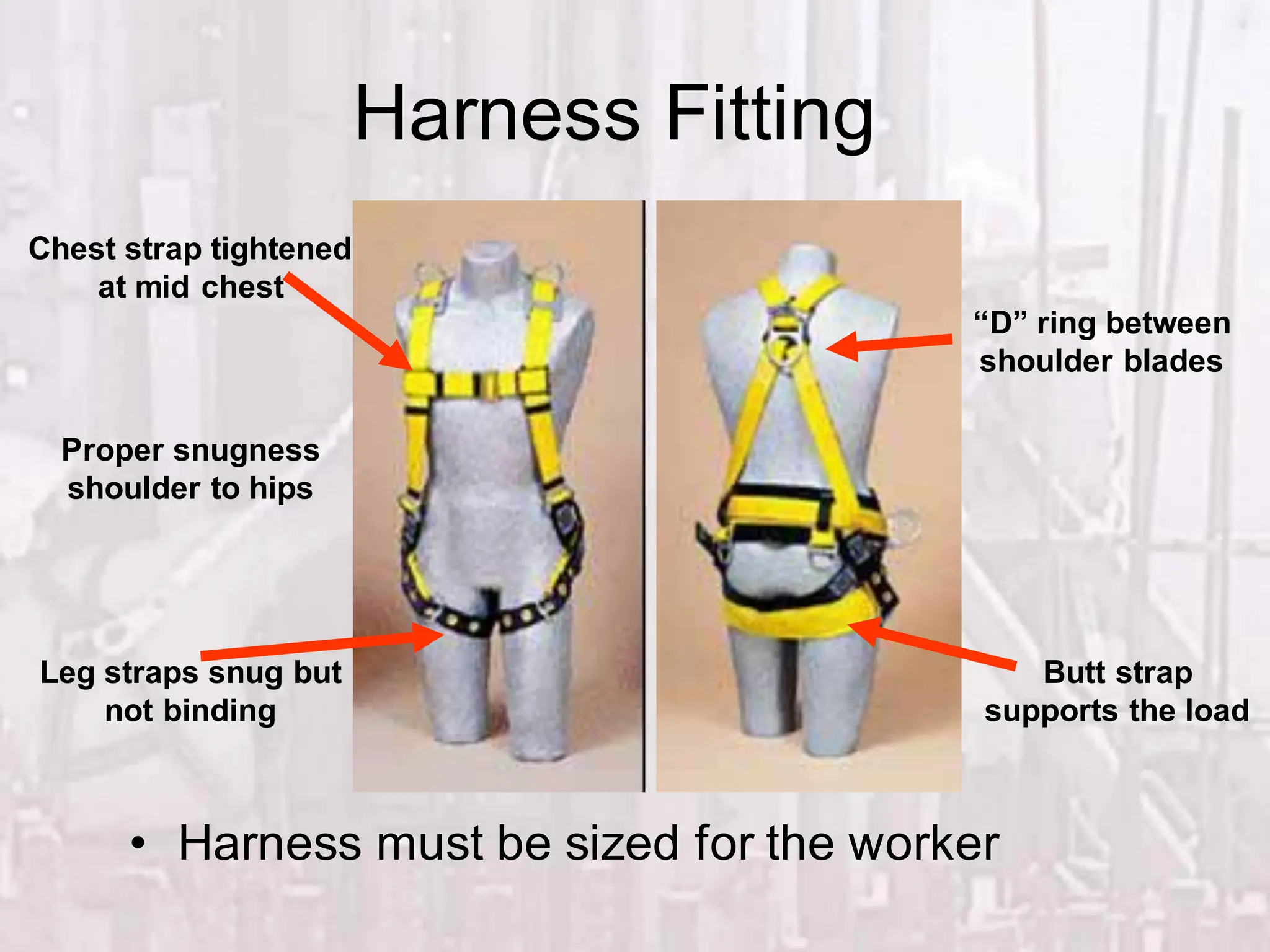 Harness Fitting
• Harness must be sized for the worker
Chest strap tightened
at mid chest
Butt strap
supports the load
Proper snugness
shoulder to hips
Leg straps snug but
not binding
“D” ring between
shoulder blades
 