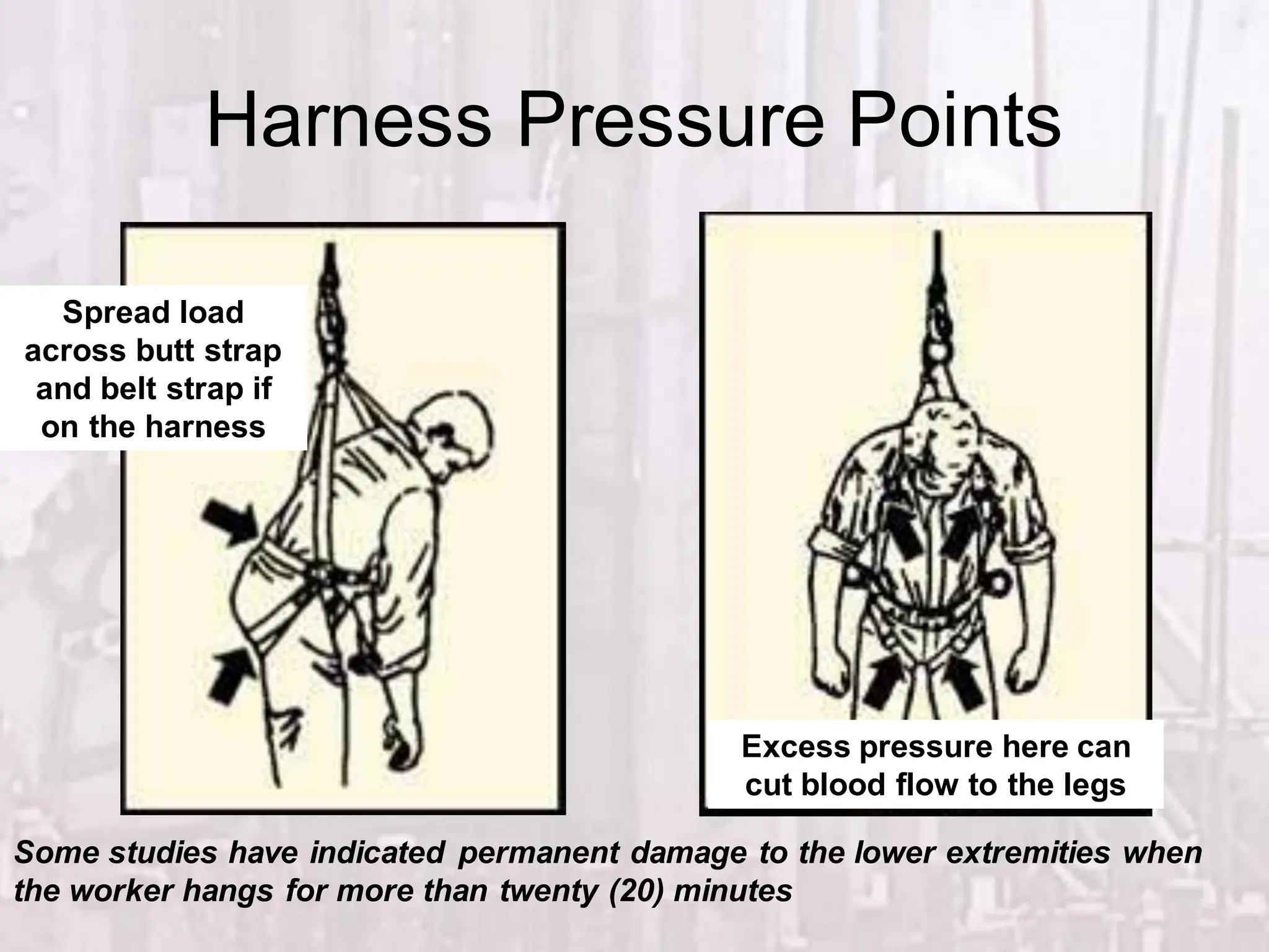 Harness Pressure Points
Spread load
across butt strap
and belt strap if
on the harness
Excess pressure here can
cut blood flow to the legs
Some studies have indicated permanent damage to the lower extremities when
the worker hangs for more than twenty (20) minutes
 