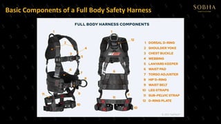 FALL PROTECTION SYSTEMS AND FALL RESTRAINT SYSTEM.pptx