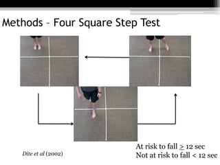 4 Meter Fall Risk Fall risk presentation | PPTX