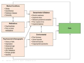 Falls in elderly | PPTX
