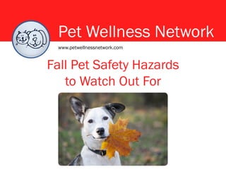 Pet Wellness Network
Fall Pet Safety Hazards
to Watch Out For
www.petwellnessnetwork.com
 