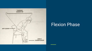 Flexion Phase
 