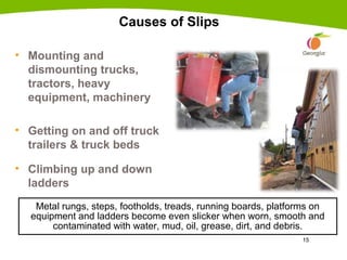 Preventing Falls, Slips and Trips by MGSU
