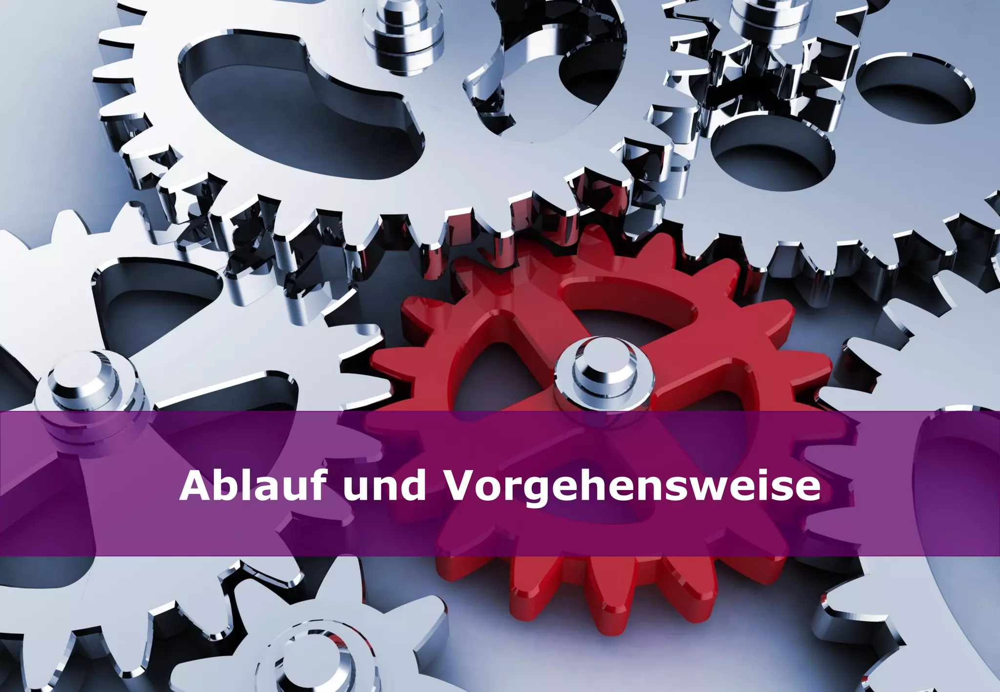 Ablauf und Vorgehensweise
 