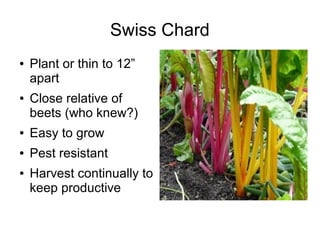 Swiss Chard
● Plant or thin to 12”
apart
● Close relative of
beets (who knew?)
● Easy to grow
● Pest resistant
● Harvest continually to
keep productive
 