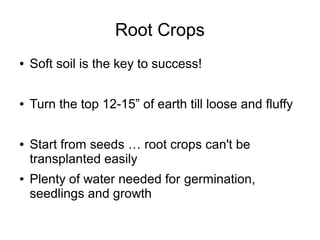 Root Crops
● Soft soil is the key to success!
● Turn the top 12-15” of earth till loose and fluffy
● Start from seeds … root crops can't be
transplanted easily
● Plenty of water needed for germination,
seedlings and growth
 