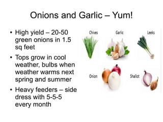 Onions and Garlic – Yum!
● High yield – 20-50
green onions in 1.5
sq feet
● Tops grow in cool
weather, bulbs when
weather warms next
spring and summer
● Heavy feeders – side
dress with 5-5-5
every month
 