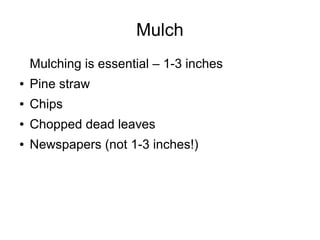 Mulch
Mulching is essential – 1-3 inches
● Pine straw
● Chips
● Chopped dead leaves
● Newspapers (not 1-3 inches!)
 