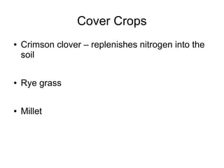 Cover Crops
● Crimson clover – replenishes nitrogen into the
soil
● Rye grass
● Millet
 