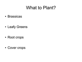 What to Plant?
● Brassicas
● Leafy Greens
● Root crops
● Cover crops
 