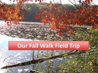 Our Fall Walk Field Trip
 