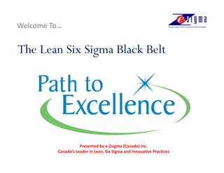 Welcome To…


The Lean Six Sigma Black Belt




                     Presented by e-Zsigma (Canada) Inc.
          Canada’s Leader in Lean, Six Sigma and Innovative Practices
 