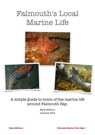 Falmouth's Local
        Marine Life




 A simple guide to some of the marine life
          around Falmouth Bay.
                 Mark Milburn
                 January 2012 




Mark Milburn                     Falmouth Marine Life, Page !1
 