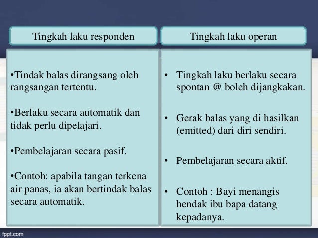 Falsafah pendidikan awal kanak kanak ( pp) (2)