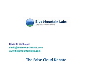 The False Cloud Debate David S. Linthicum [email_address] www.bluemountainlabs.com 